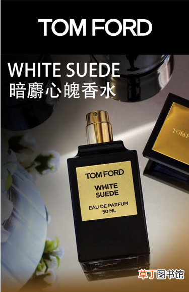 tf香水真假辨别