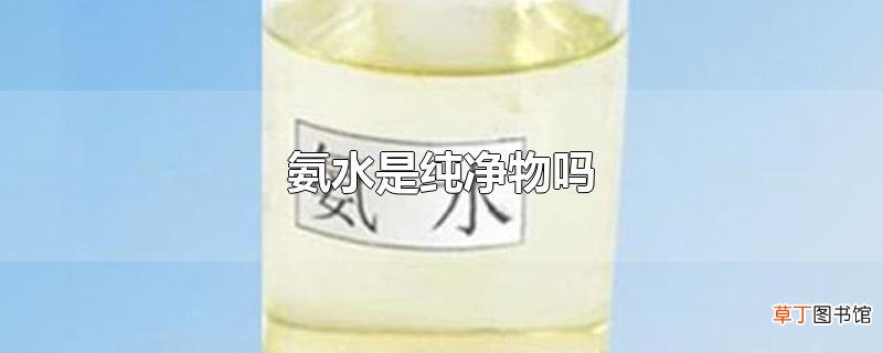 氨水是纯净物吗