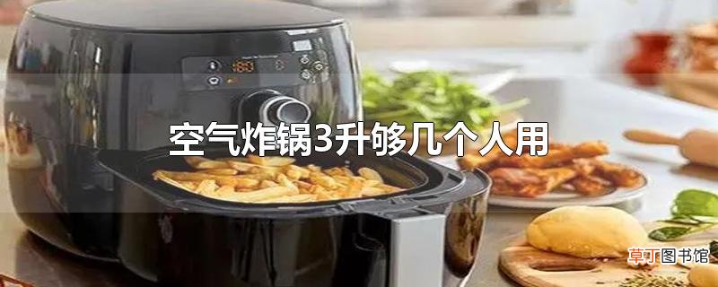 空气炸锅3升够几个人用