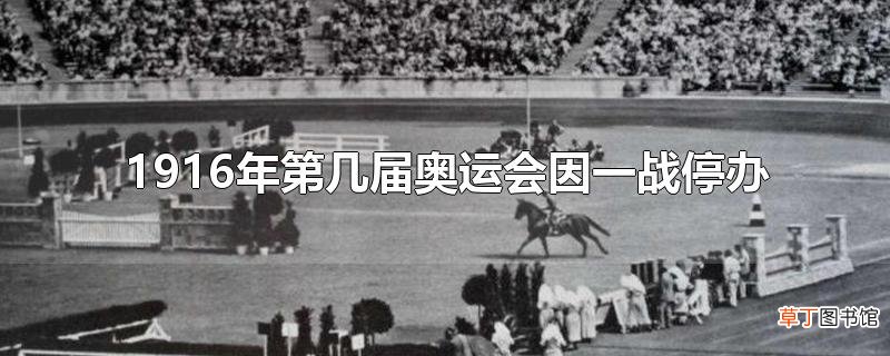1916年第几届奥运会因一战停办