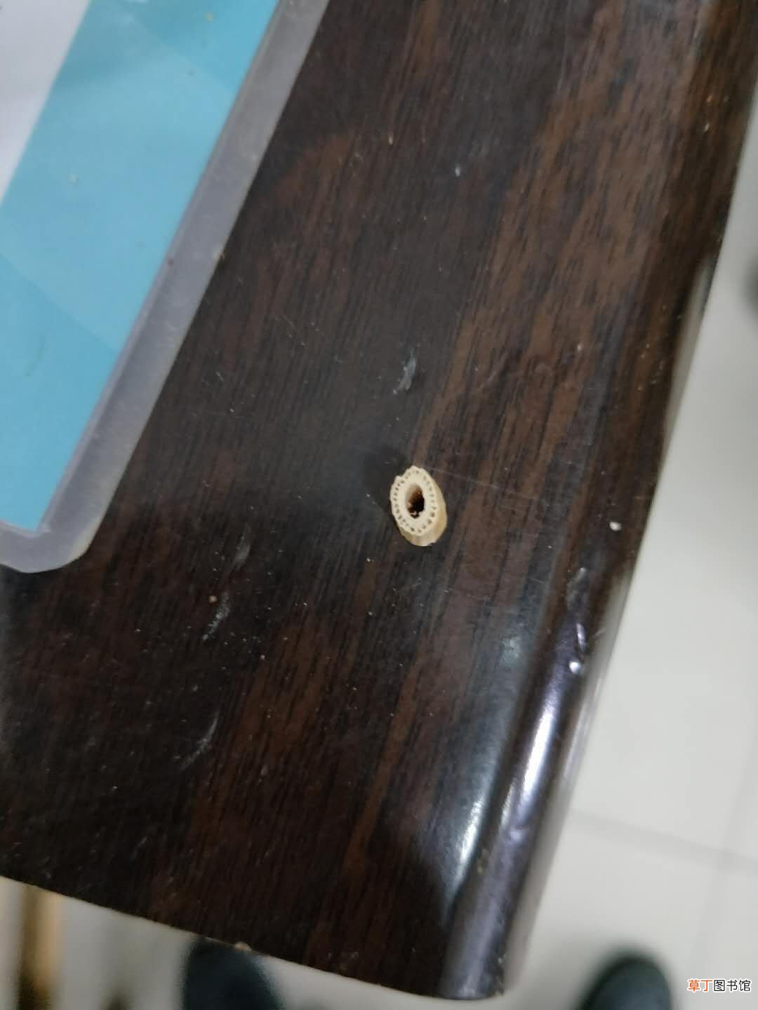 带你认识中药白茅根 中药白茅根