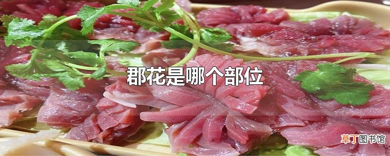 郡花是哪个部位