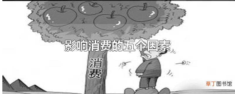 影响消费的五个因素