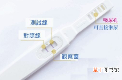 验孕棒怎么使用的-验孕棒使用方法介绍