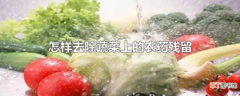 怎样去除蔬菜上的农药残留