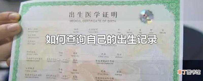 怎么查询自己的出生记录
