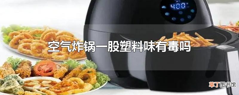空气炸锅一股塑料味有毒吗