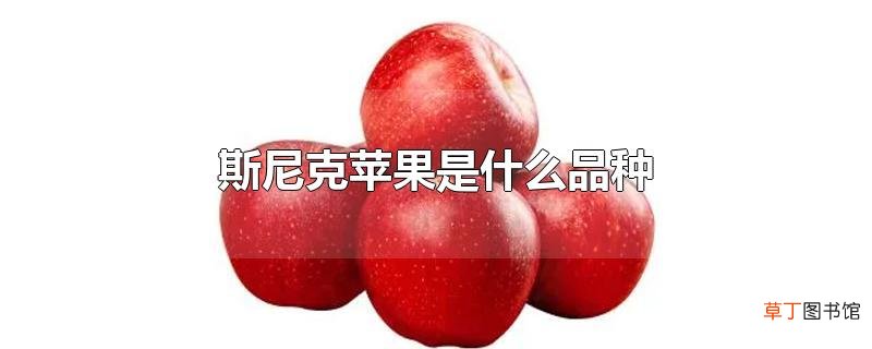 斯尼克苹果是什么品种