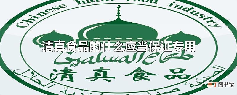 清真食品的什么应当保证专用
