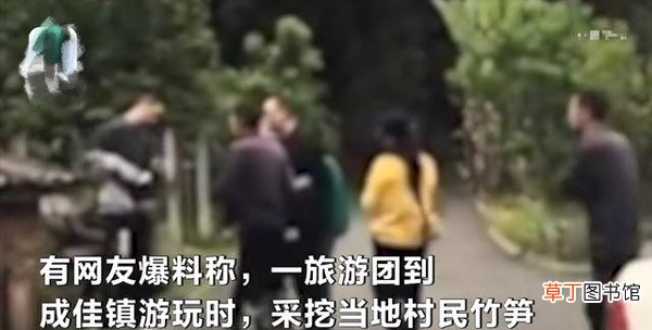 究竟是怎么一回事 游客挖竹笋遭村民索赔1根1万