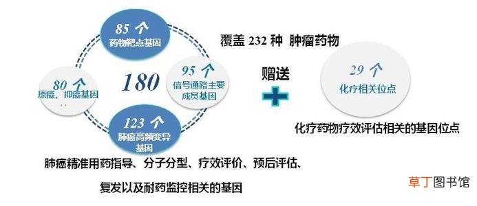 肺癌基因检测8项费用-肺癌基因检测8项费用有多少