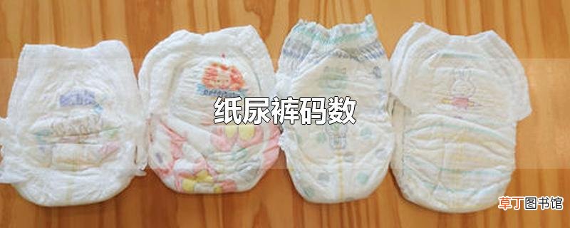 纸尿裤码数