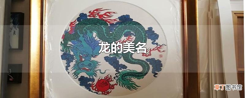 龙的美名