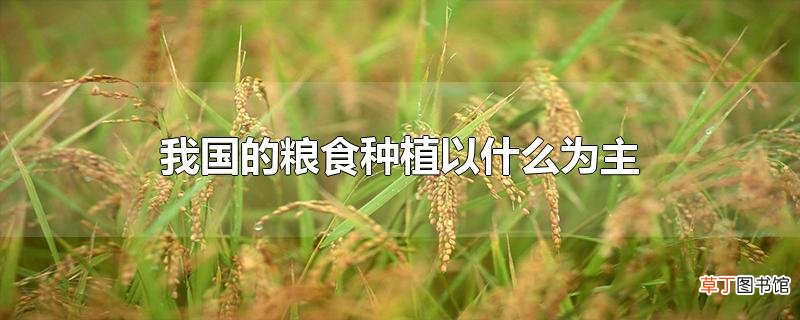 我国的粮食种植以什么为主