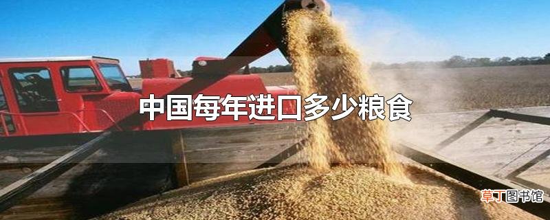 中国每年进口多少粮食
