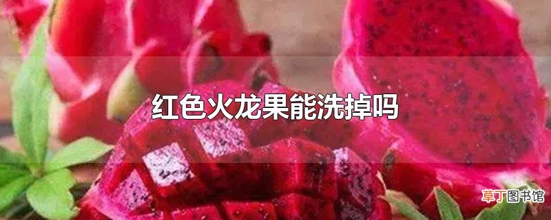 红色火龙果能洗掉吗