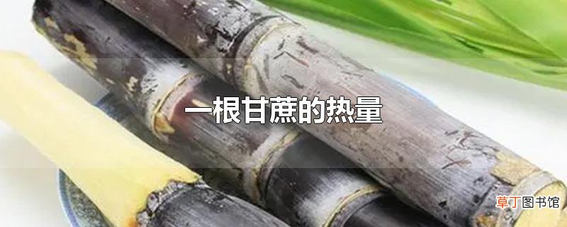一根甘蔗的热量