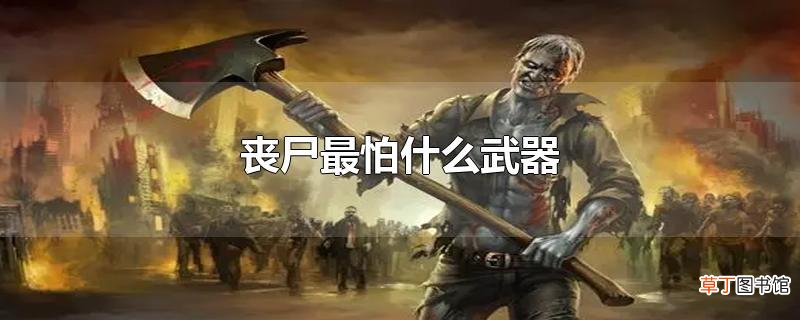 丧尸最怕什么武器