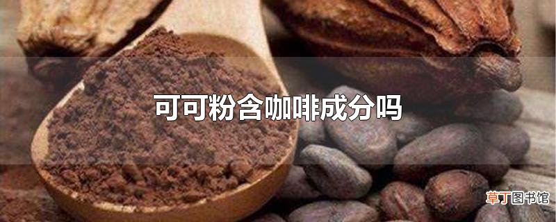 可可粉含咖啡成分吗
