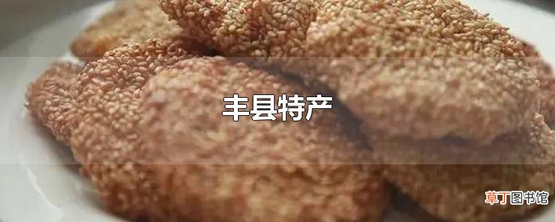 丰县特产