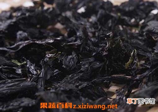 紫菜相克的食物是什么 紫菜和什么一起吃最好