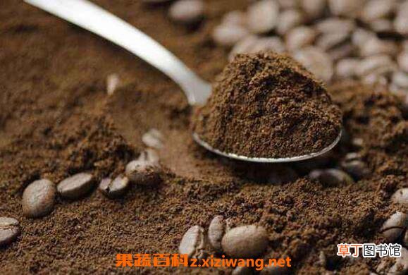咖啡粉怎么喝 咖啡粉可以直接冲泡吗