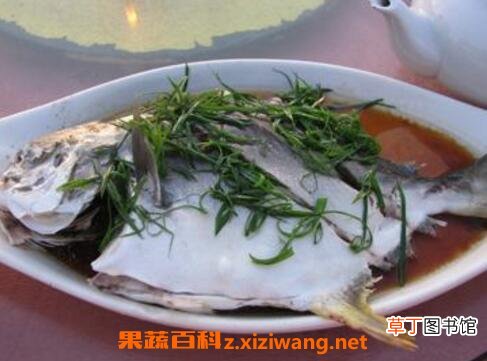 白仓鱼的营养价值与功效作用