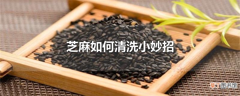 芝麻怎么清洗小妙招