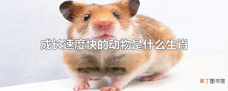 成长速度快的动物是什么生肖