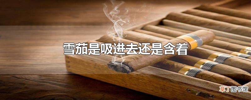 雪茄是吸进去还是含着