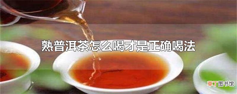 熟普洱茶怎么喝才是正确喝法
