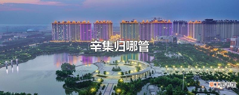 辛集归哪管