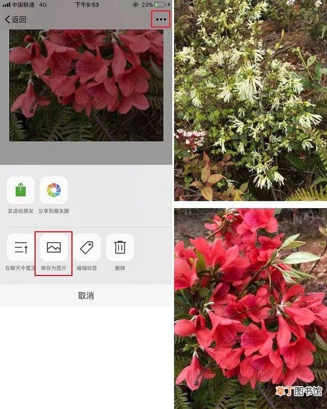 苹果xr手机怎么截屏 苹果手机怎么截长屏