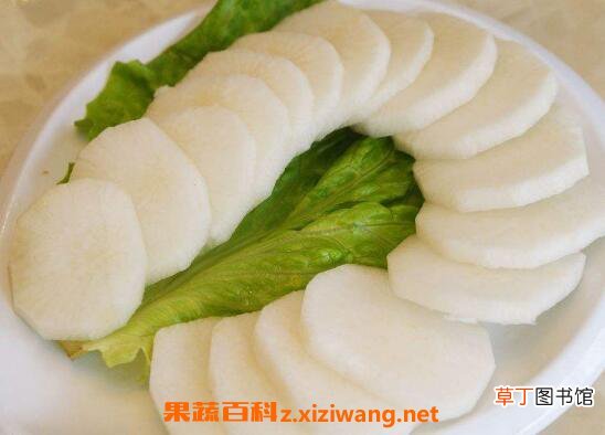 醉酒后吃什么食物最解酒 常见解酒食物介绍