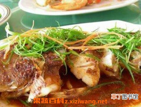 牛尾鱼的功效与作用