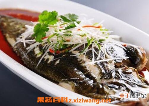 鸦片鱼的营养价值及功效作用