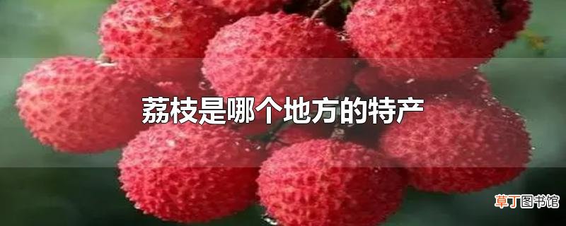 荔枝是哪个地方的特产