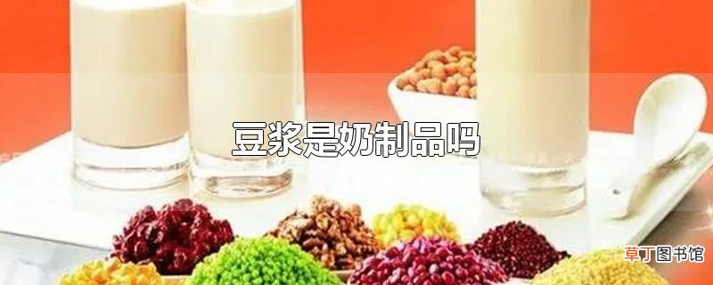 豆浆是奶制品吗