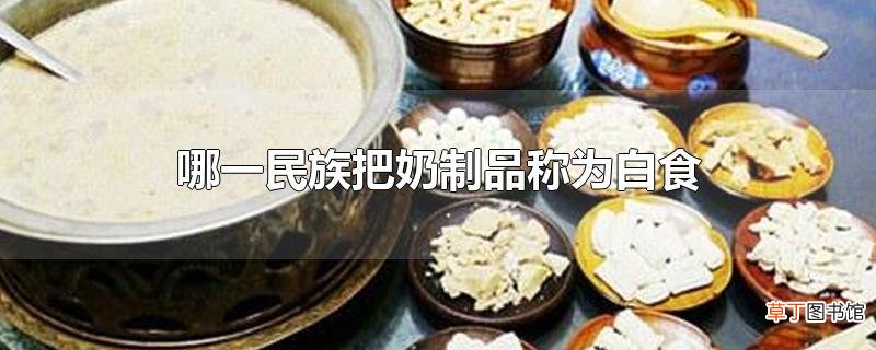 哪一民族把奶制品称为白食
