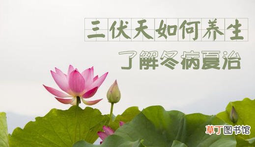 三伏天怎么排湿气寒气 三伏天泡澡的好处和功效