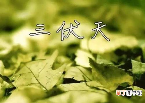 三伏天是哪个季节 三伏天是什么意思