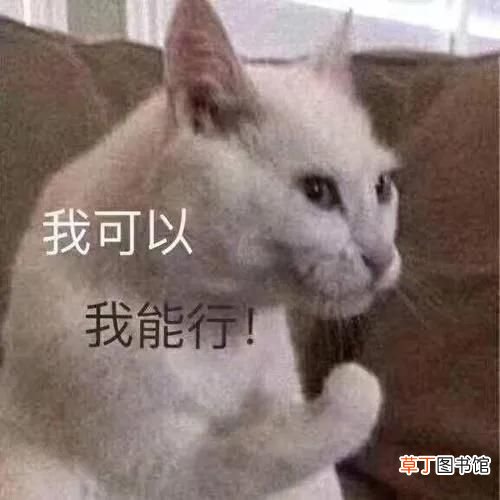 pass什么意思,pass到底是“通过”还是“不通过”？