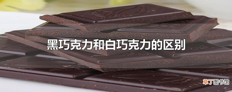 黑巧克力和白巧克力的区别