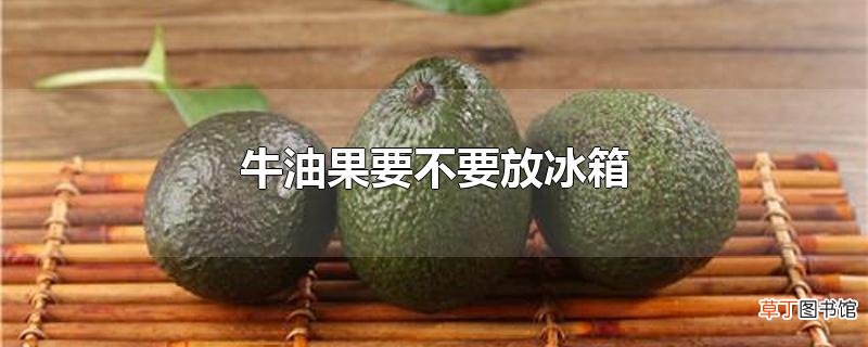 牛油果要不要放冰箱