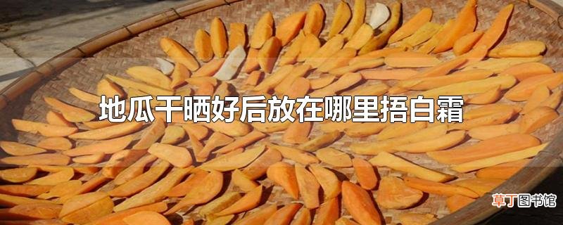 地瓜干晒好后放在哪里捂白霜