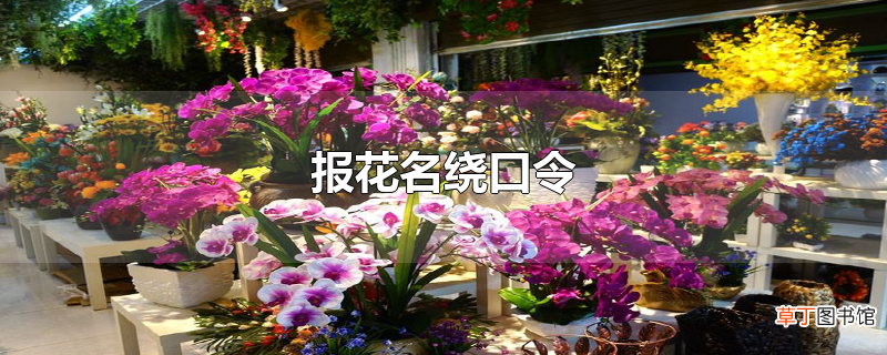 报花名绕口令