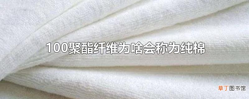 100聚酯纤维为啥会称为纯棉