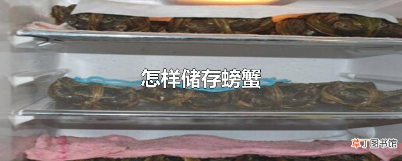 怎样储存螃蟹