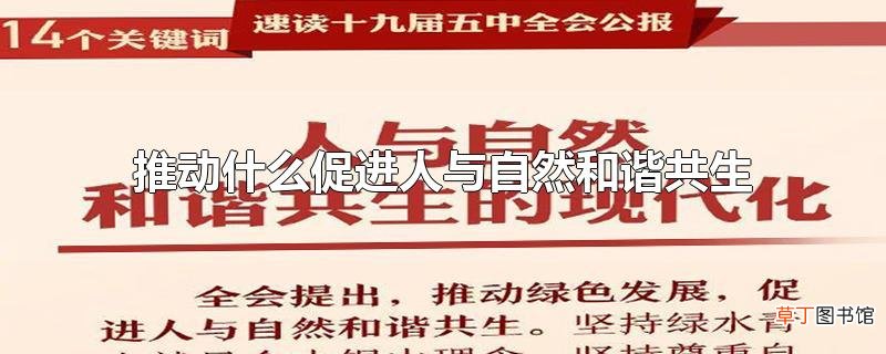 推动什么促进人与自然和谐共生