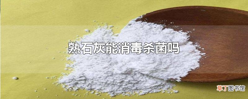 熟石灰能消毒杀菌吗
